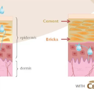 CERAMOSIDES™